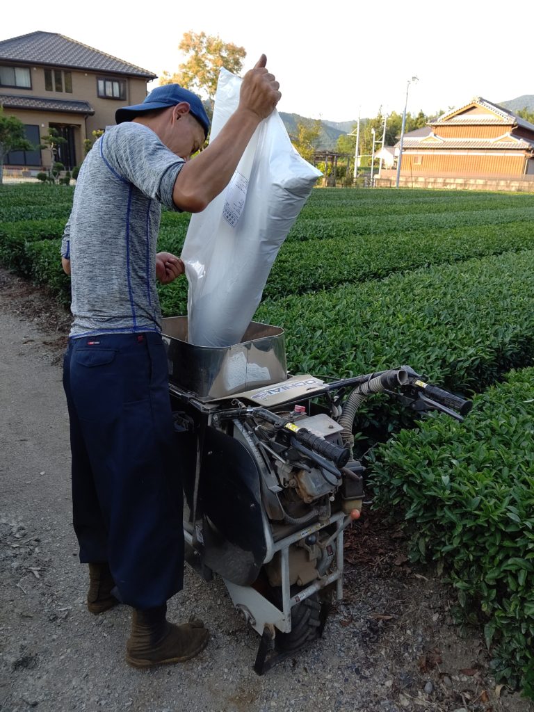 茶畑肥料散布