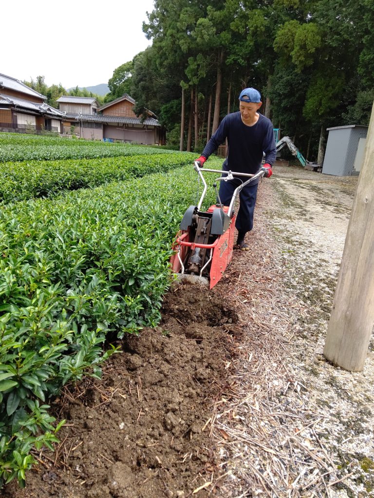 茶畑の深耕